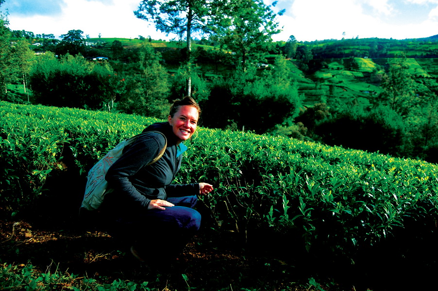 Tea Plantation near Nuwara Eliya