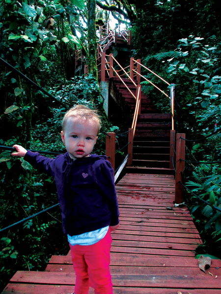 Climbing stairs in Cameron Hilghlands