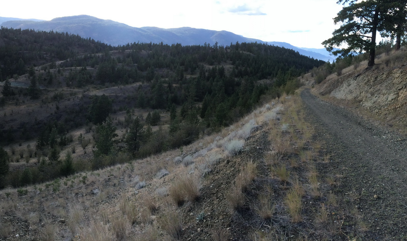 Overlooking trails in Stephens Coyote Ridge