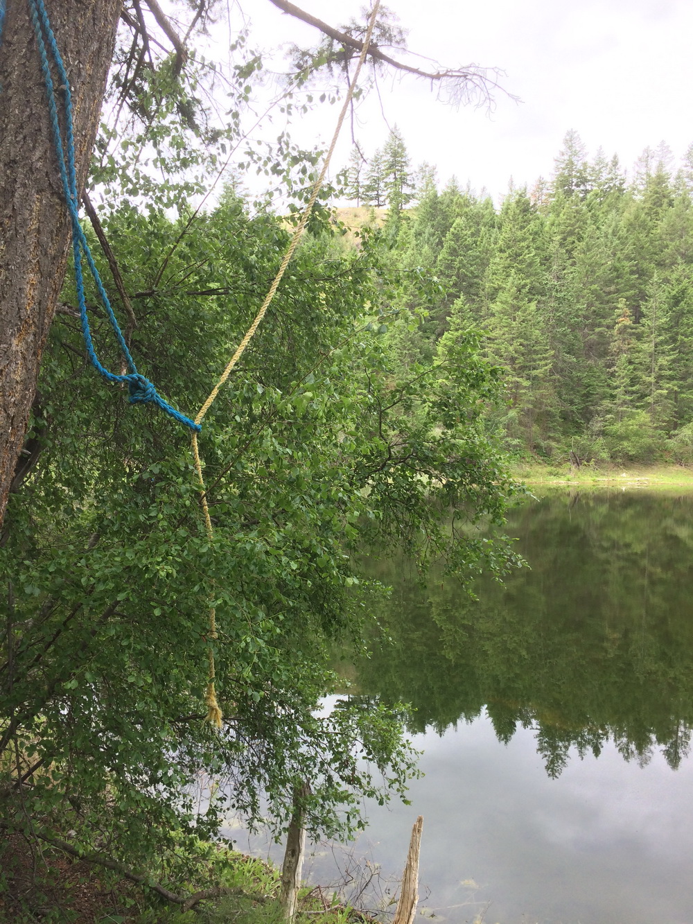 Rope swing into Lightblue lake
