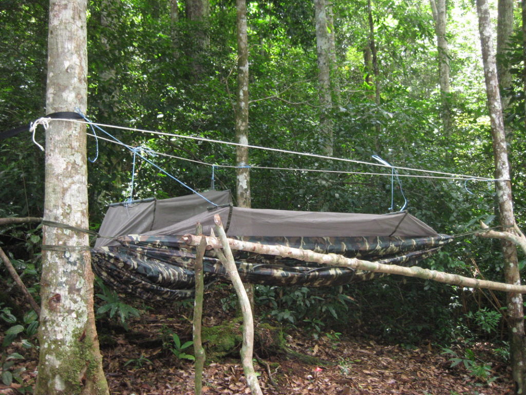 junglehammock Life is Adventure