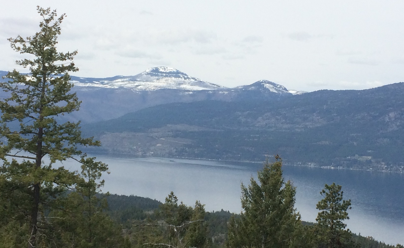 Predator Ridge – Okanagan Lake Lookout Loop – Life is Adventure